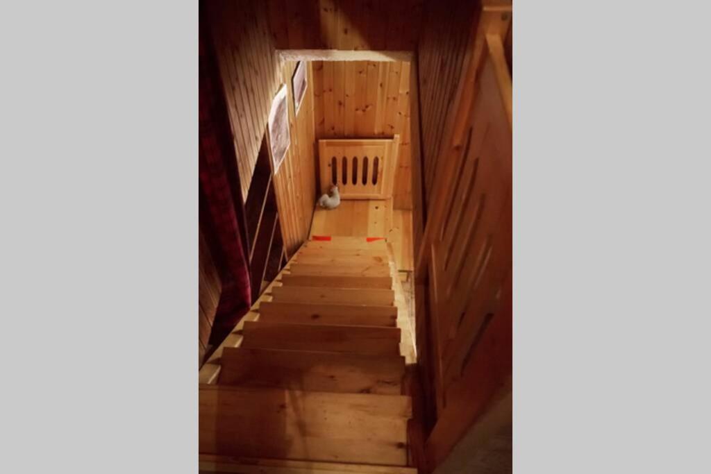 Chalet Indipendente In Centro A Valtournenche Eksteriør bilde